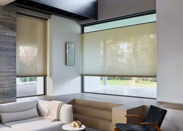 Afbeelding 1 Luxaflex Duette en Plisse actie 700x500 Afbeelding 1 Luxaflex Duette en Plisse actie 700x500