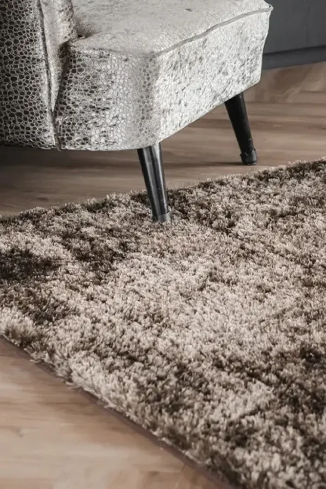 Van Besouw Van Besouw